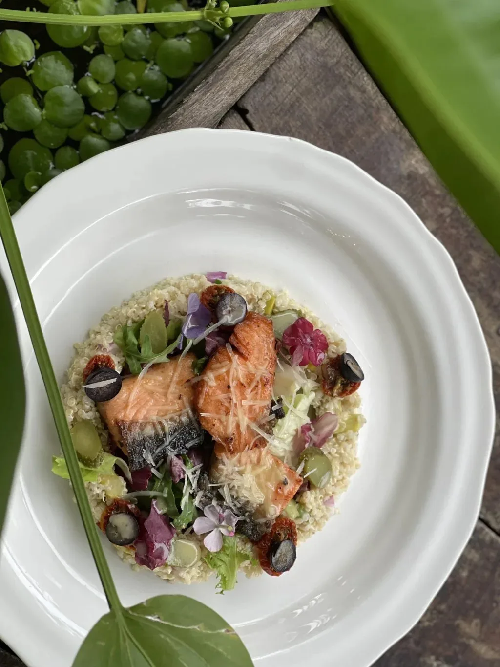 Salad hạt diêm mạch và cá hồi