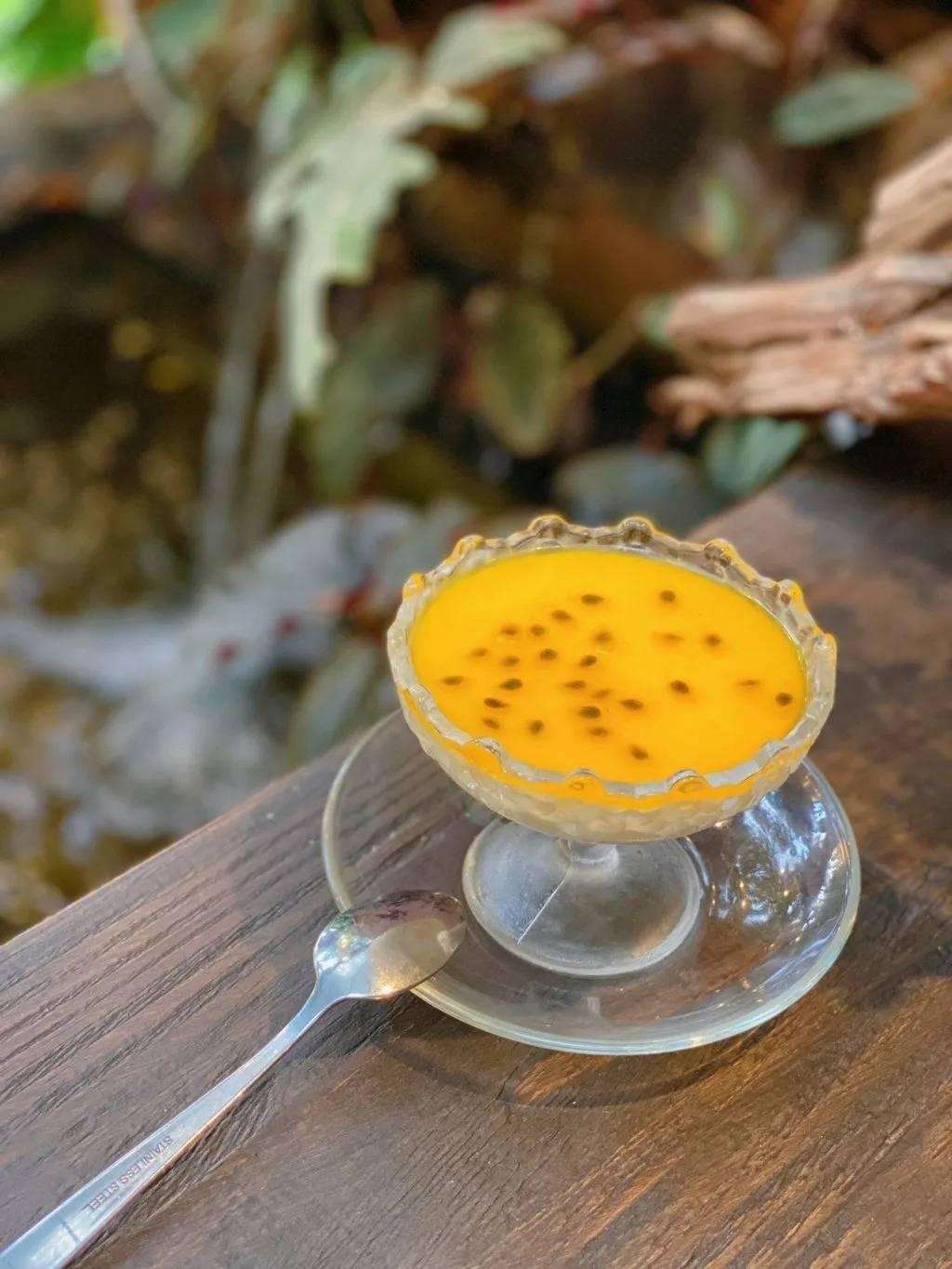 Panna Cotta sẽ là một món tráng miệng “dễ chịu” phù hợp nhiều người