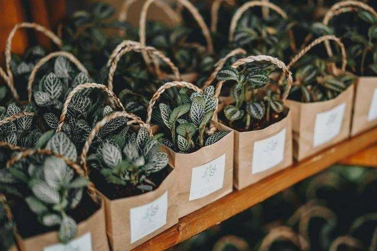 Tặng quà lưu niệm